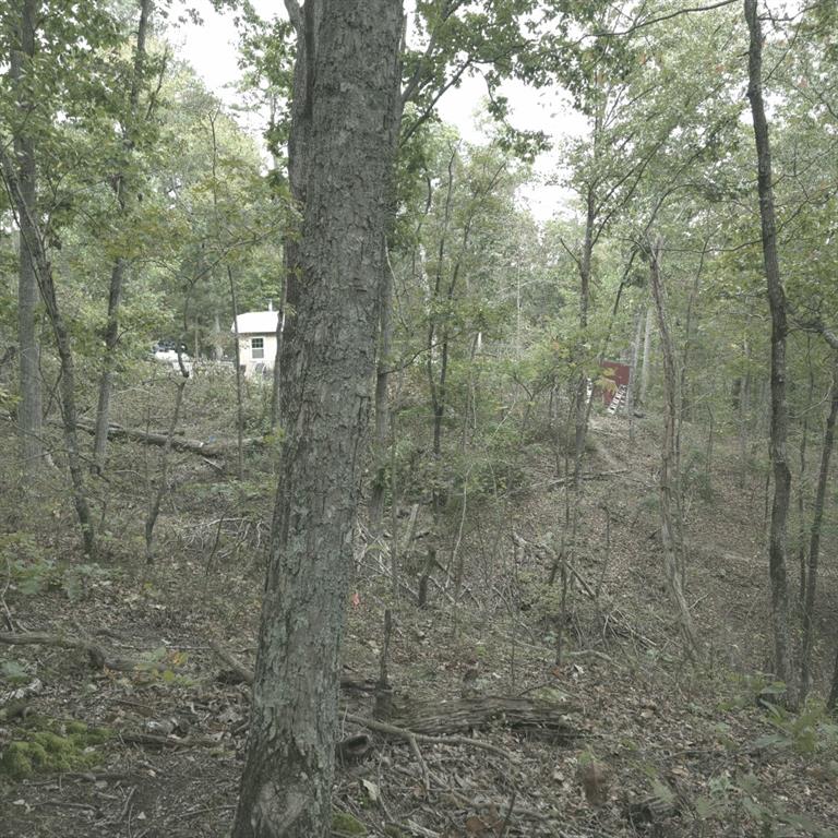 1251 Rambling Road Fairmount, GA 30139 - Photo 12 of 23