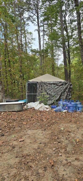 1251 Rambling Road Fairmount, GA 30139 - Photo 20 of 23 a view of outdoor space and yard
