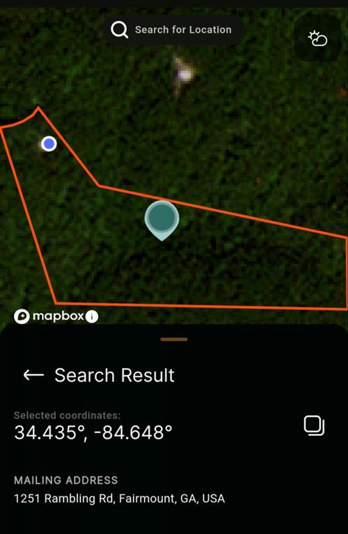 1251 Rambling Road Fairmount, GA 30139 - Photo 3 of 23 a view of a back yard