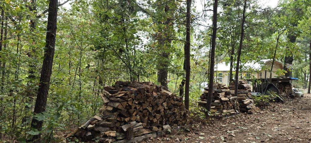 1251 Rambling Road Fairmount, GA 30139 - Photo 4 of 23 a view of a forest with trees