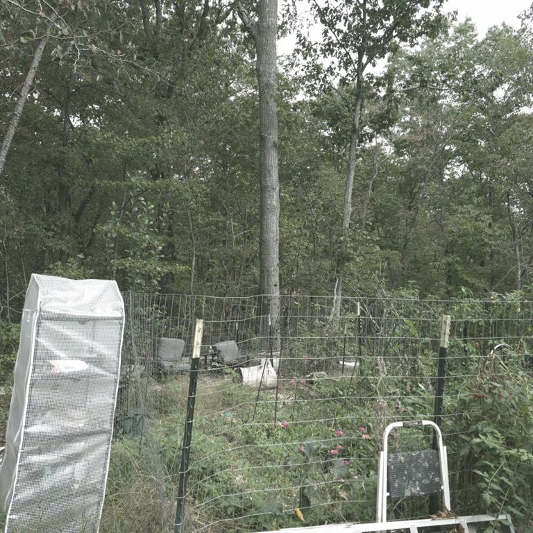 1251 Rambling Road Fairmount, GA 30139 - Photo 5 of 23 a bathroom with a shower