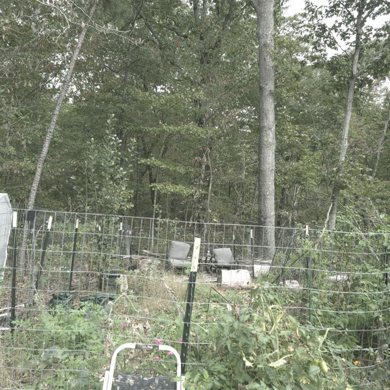 1251 Rambling Road Fairmount, GA 30139 - Photo 6 of 23 a bathroom with a shower