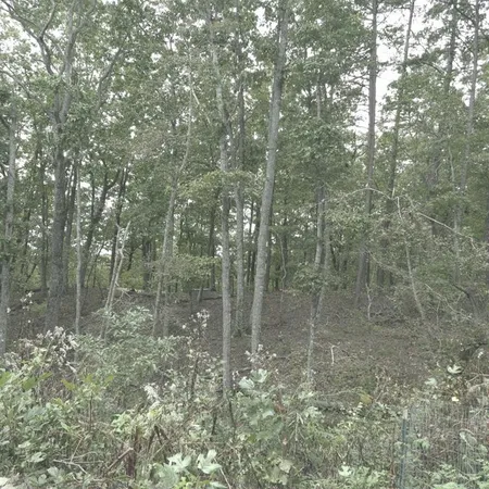 a view of a wooden house with a yard and large trees