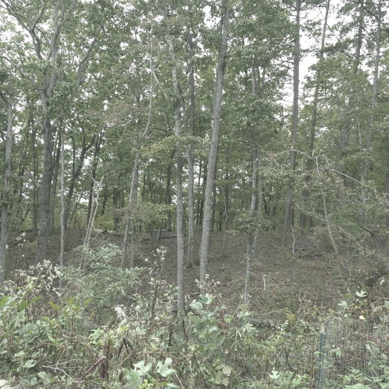 1251 Rambling Road Fairmount, GA 30139 - Photo 7 of 23 a bathroom with a shower