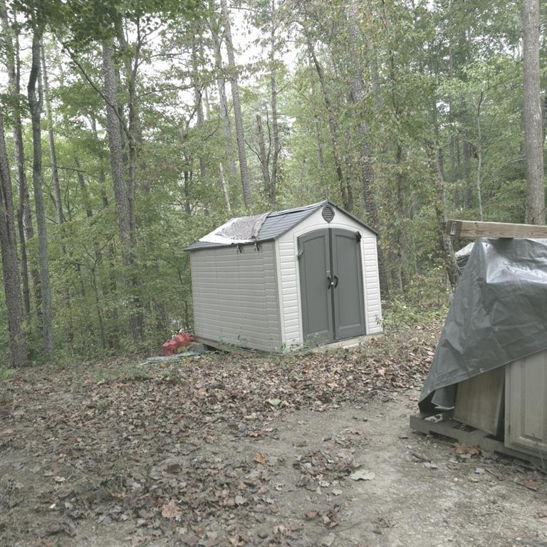 1251 Rambling Road Fairmount, GA 30139 - Photo 9 of 23 a view of a wooden house with a yard and large trees
