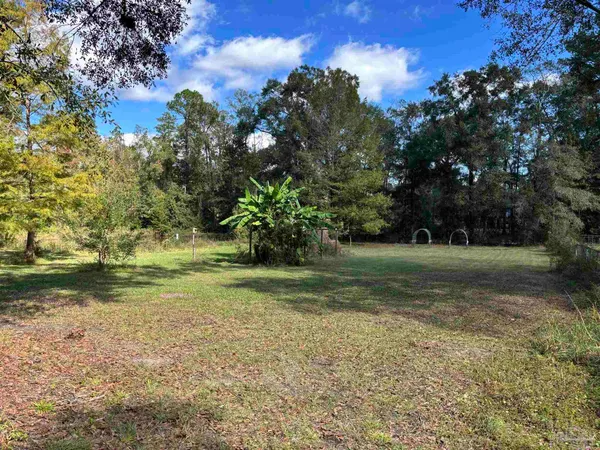a view of a yard with a tree