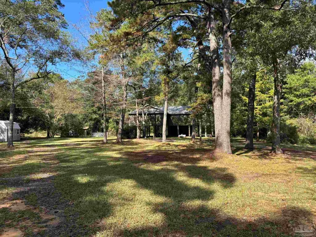 a view of a trees in a yard
