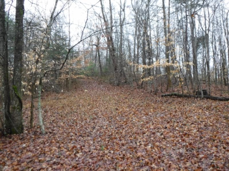 1 Arrowhead Road Moss, TN 38575 - Photo 11 of 14 a view of a yard with large trees