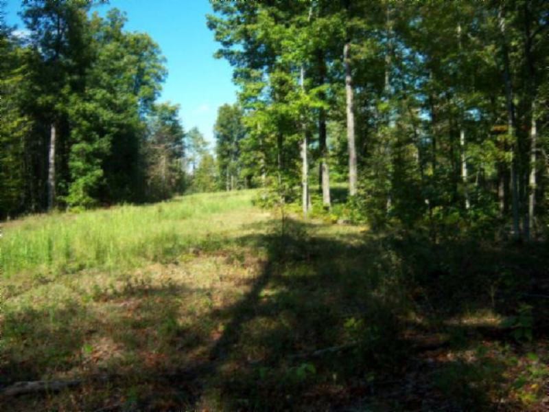 1 Arrowhead Road Moss, TN 38575 - Photo 5 of 14 a view of outdoor space and yard