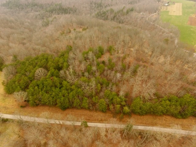 1 Arrowhead Road Moss, TN 38575 - Photo 6 of 14 a view of a yard with a trees