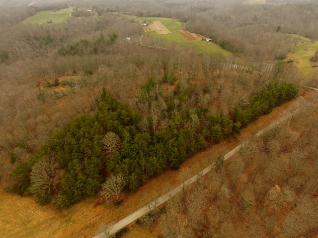 1 Arrowhead Road Moss, TN 38575 - Photo 7 of 14 a view of a small yard