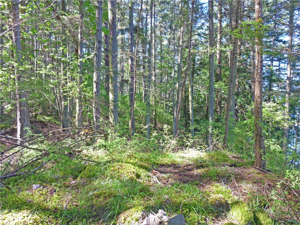 52 Dock Road Eastsound, WA 98245 - Photo 11 of 22 Gallery Image 11