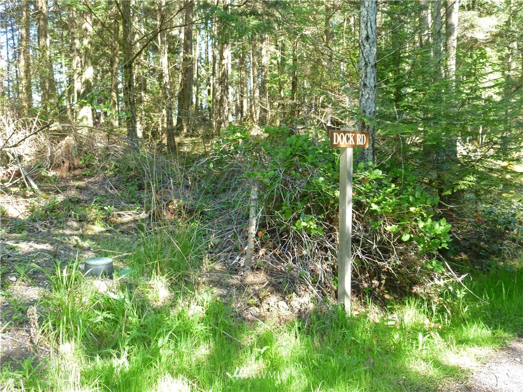 52 Dock Road Eastsound, WA 98245 - Photo 14 of 22 Gallery Image 14