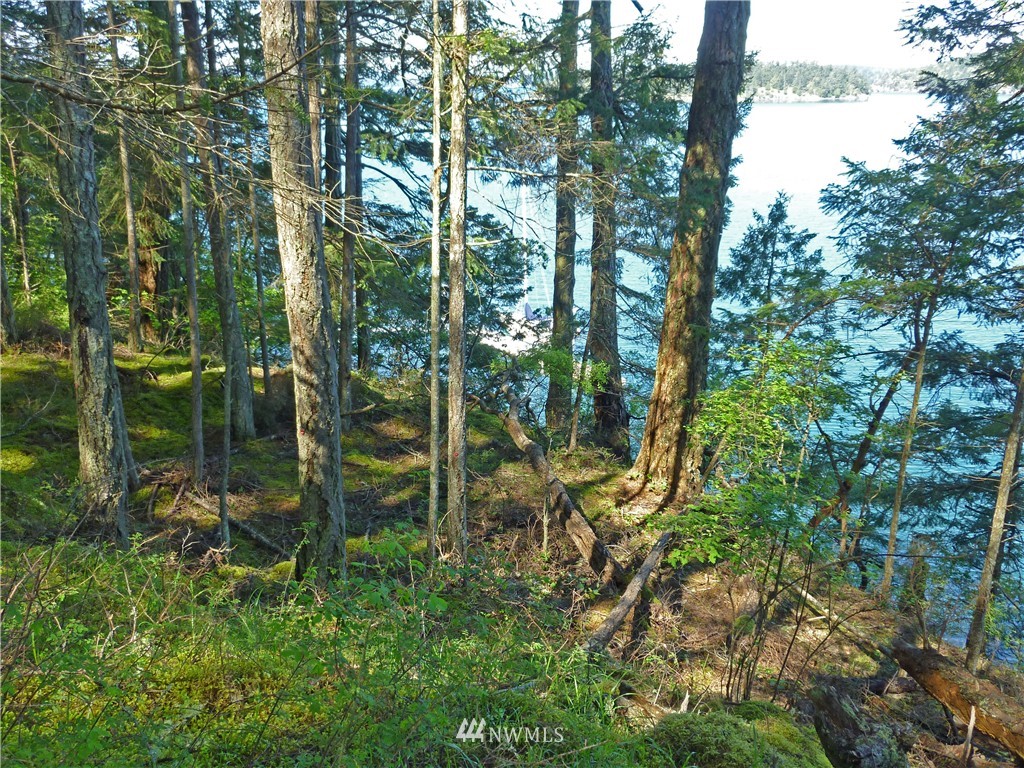 52 Dock Road Eastsound, WA 98245 - Photo 7 of 22 Gallery Image 7