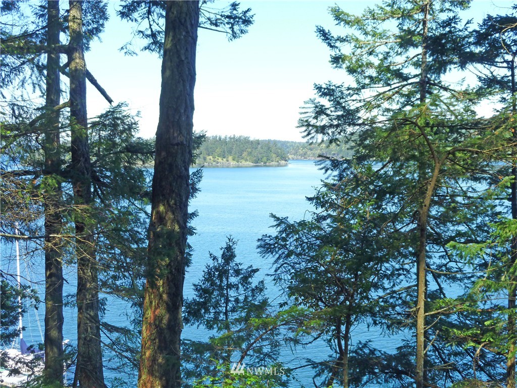 52 Dock Road Eastsound, WA 98245 - Photo 8 of 22 Gallery Image 8