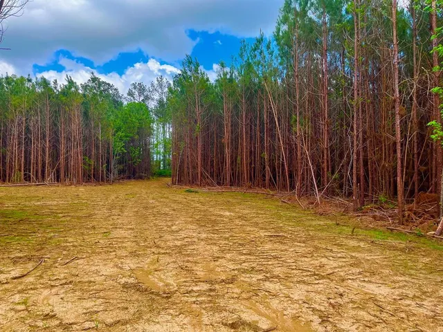 $36,500 | Tbd Reeves Road Southeast, Ruth, MS 39662