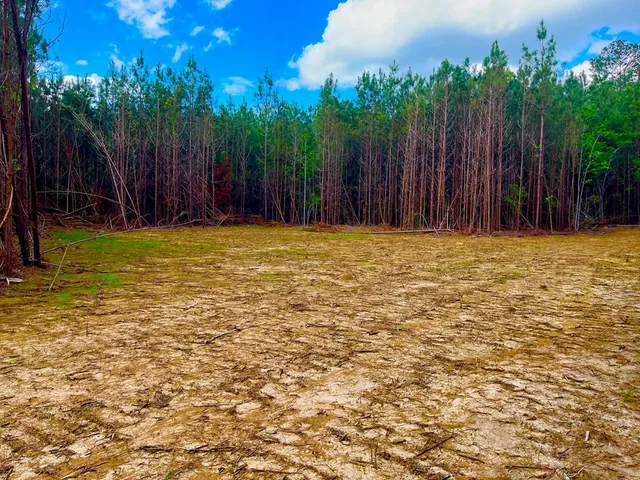 $36,500 | Tbd Reeves Road Southeast, Ruth, MS 39662