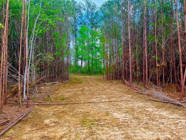$36,500 | Tbd Reeves Road Southeast, Ruth, MS 39662