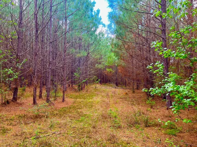 $36,500 | Tbd Reeves Road Southeast, Ruth, MS 39662