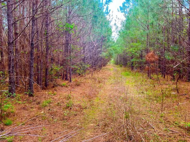 $36,500 | Tbd Reeves Road Southeast, Ruth, MS 39662