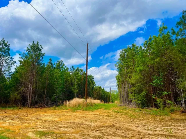 $36,500 | Tbd Reeves Road Southeast, Ruth, MS 39662