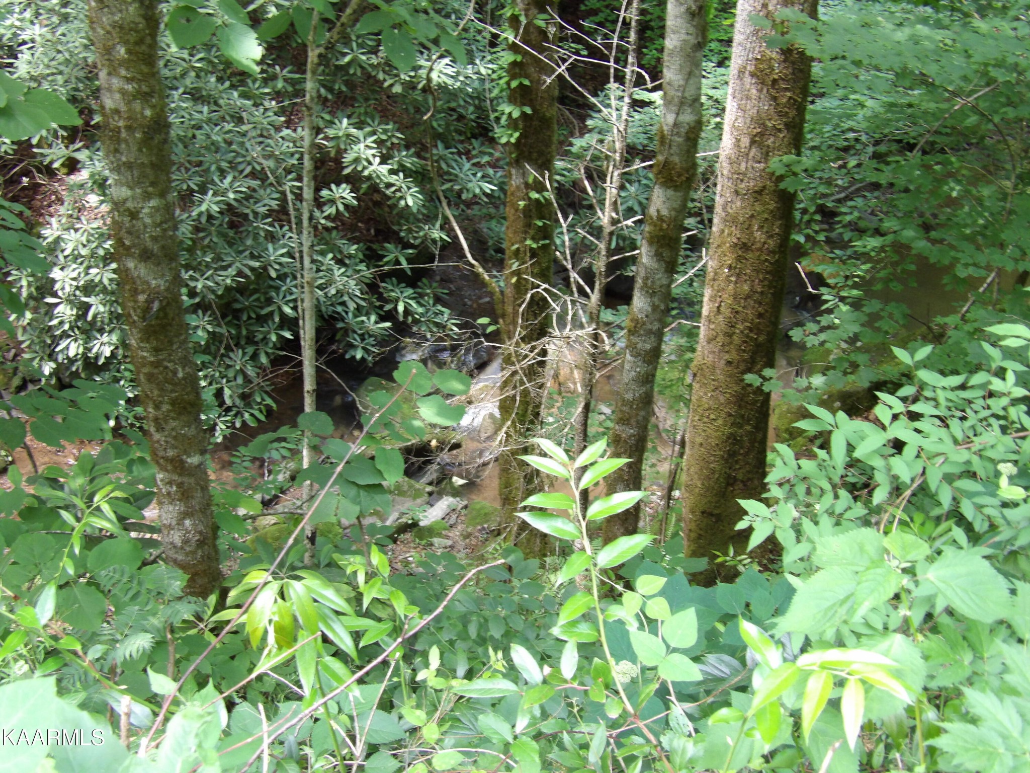0 Middle Fork Way Del Rio, TN 37727 - Photo 7 of 22 a plant view