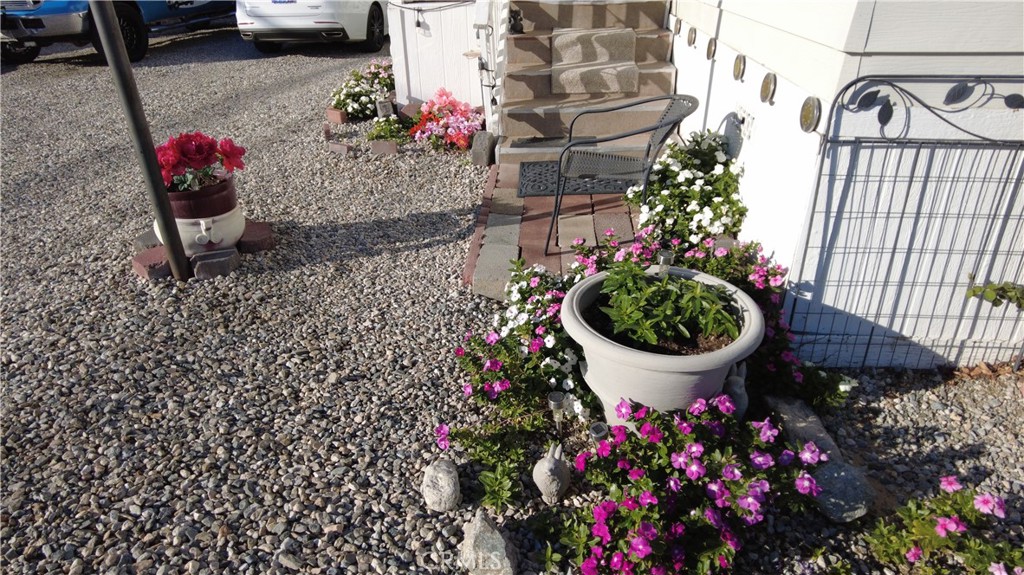 4561 Adobe Road, Unit 1 Twentynine Palms, CA 92277 - Photo 54 of 57 a view of a potted plant sitting in front of a house