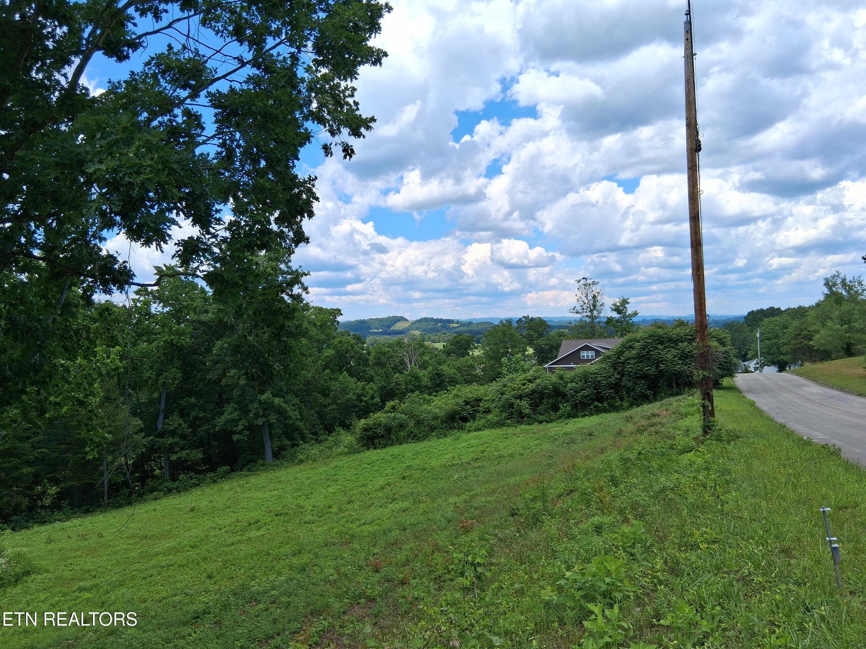 336 Woodstock Drive Rutledge, TN 37861 - Photo 6 of 8 20260602_144250