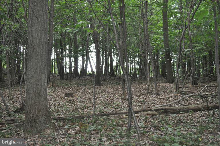 Rohrbaugh Road Hampstead, MD 21074 - Photo 11 of 24 View