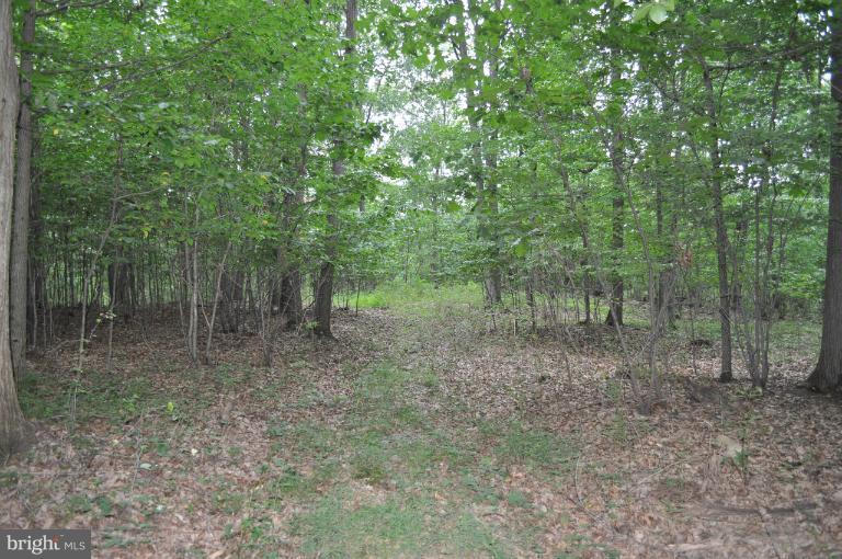 Rohrbaugh Road Hampstead, MD 21074 - Photo 12 of 24 View