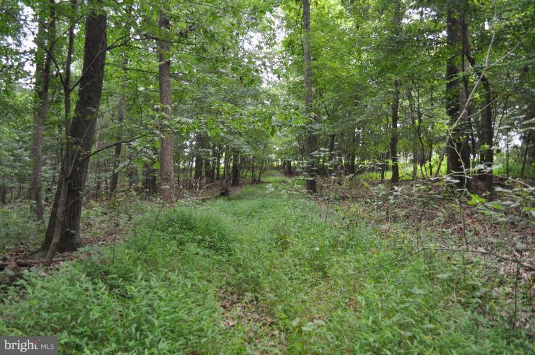 Rohrbaugh Road Hampstead, MD 21074 - Photo 13 of 24 View