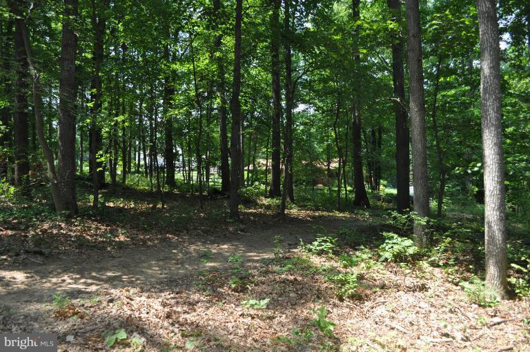 Rohrbaugh Road Hampstead, MD 21074 - Photo 14 of 24 View