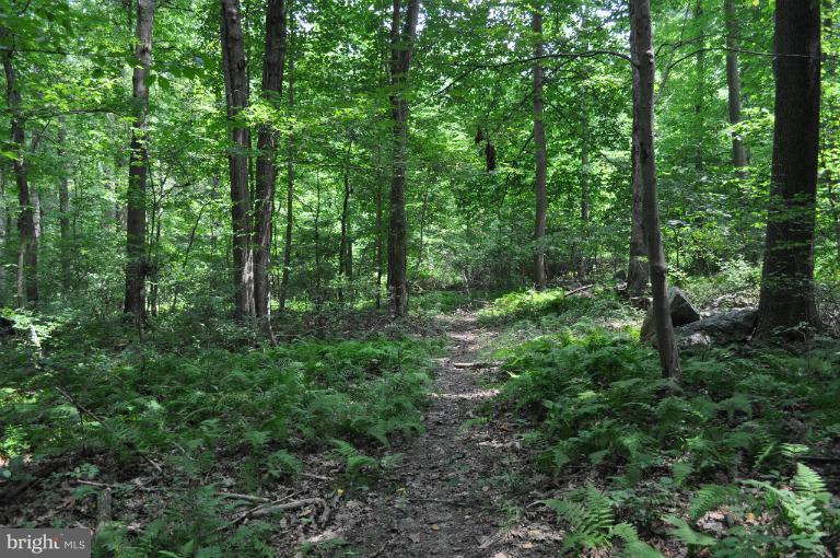 Rohrbaugh Road Hampstead, MD 21074 - Photo 16 of 24 View