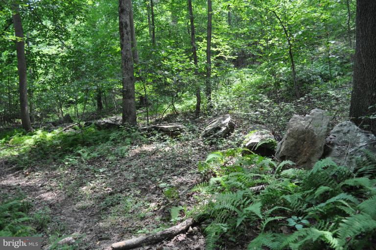 Rohrbaugh Road Hampstead, MD 21074 - Photo 17 of 24 View