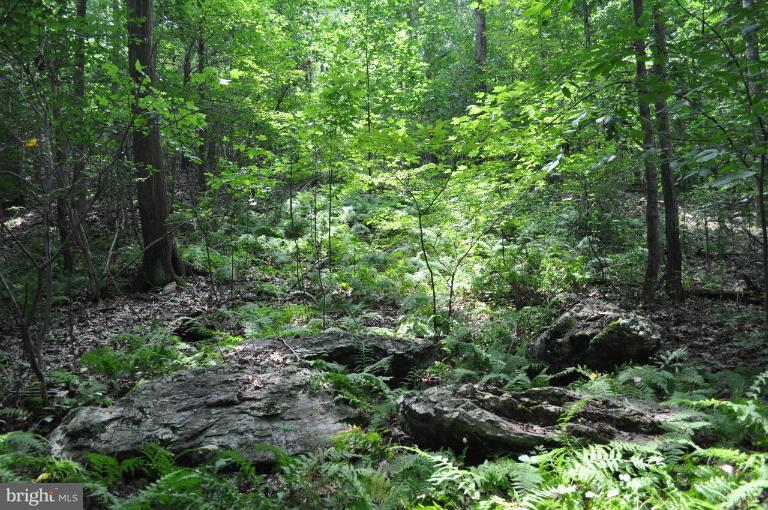 Rohrbaugh Road Hampstead, MD 21074 - Photo 18 of 24 View