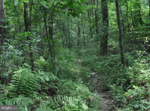 Rohrbaugh Road Hampstead, MD 21074 - Photo 23 of 24 View