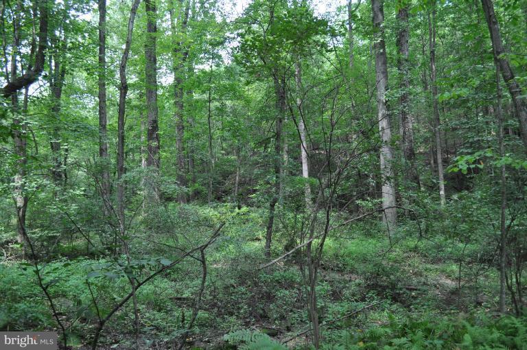 Rohrbaugh Road Hampstead, MD 21074 - Photo 24 of 24 View