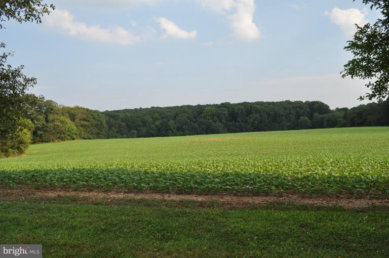Rohrbaugh Road Hampstead, MD 21074 - Photo 6 of 24 WHAT A PLACE TO CALL THE FARM