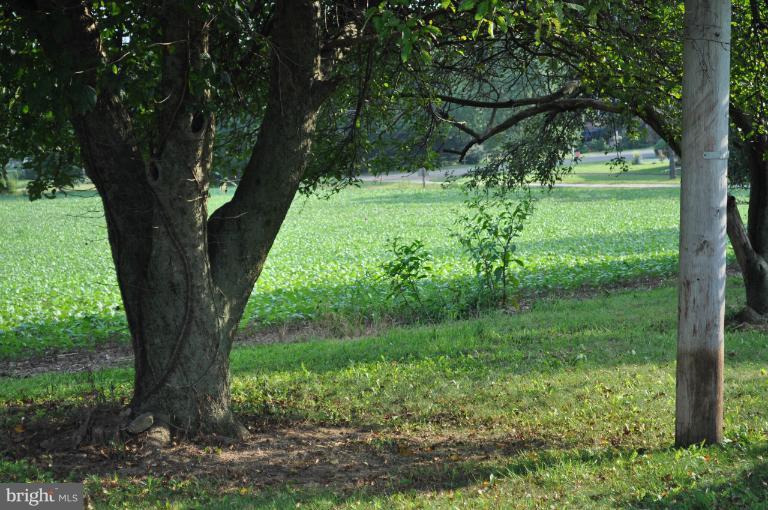 Rohrbaugh Road Hampstead, MD 21074 - Photo 7 of 24 APPLE TREE