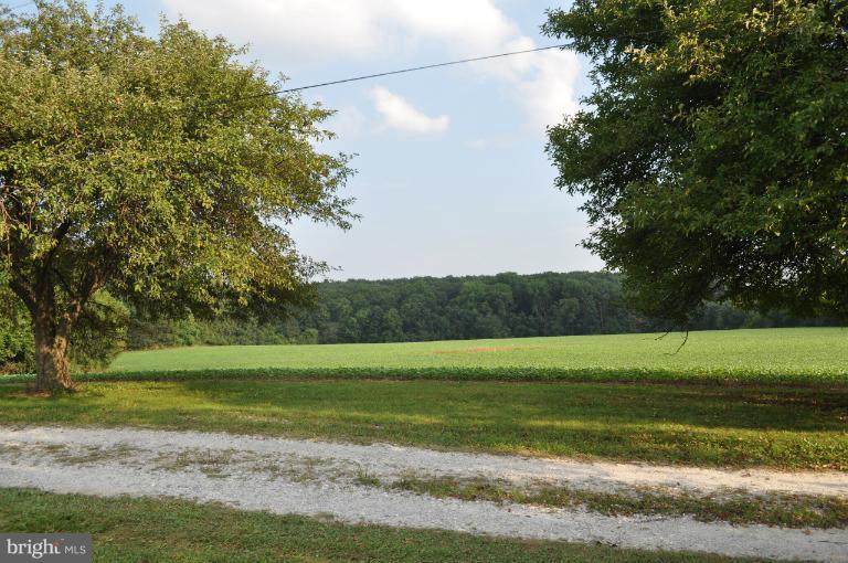 Rohrbaugh Road Hampstead, MD 21074 - Photo 9 of 24 APPLE TREES