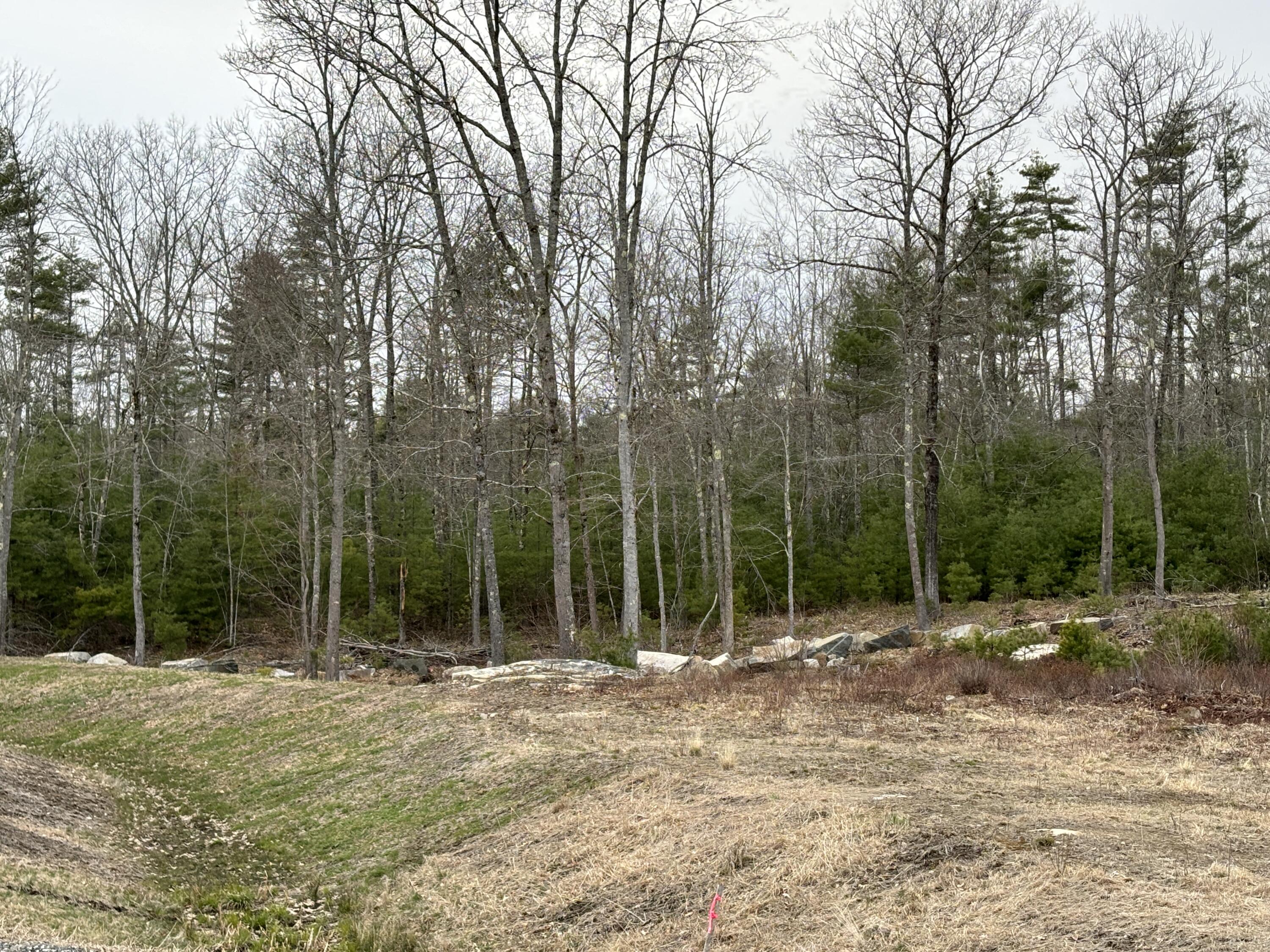 Lot 4 Webber Ridge Ln Wells Wells, ME 04090 - Photo 8 of 32 IMG_1883