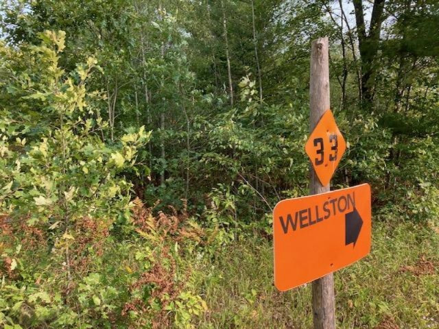 Vl Swihart Road Brethren, MI 49619 - Photo 6 of 15 IMG_7324