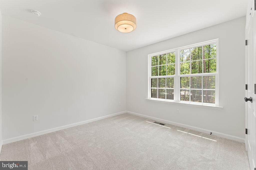 675 Vawter Corner Road Louisa, VA 23093 - Photo 24 of 42