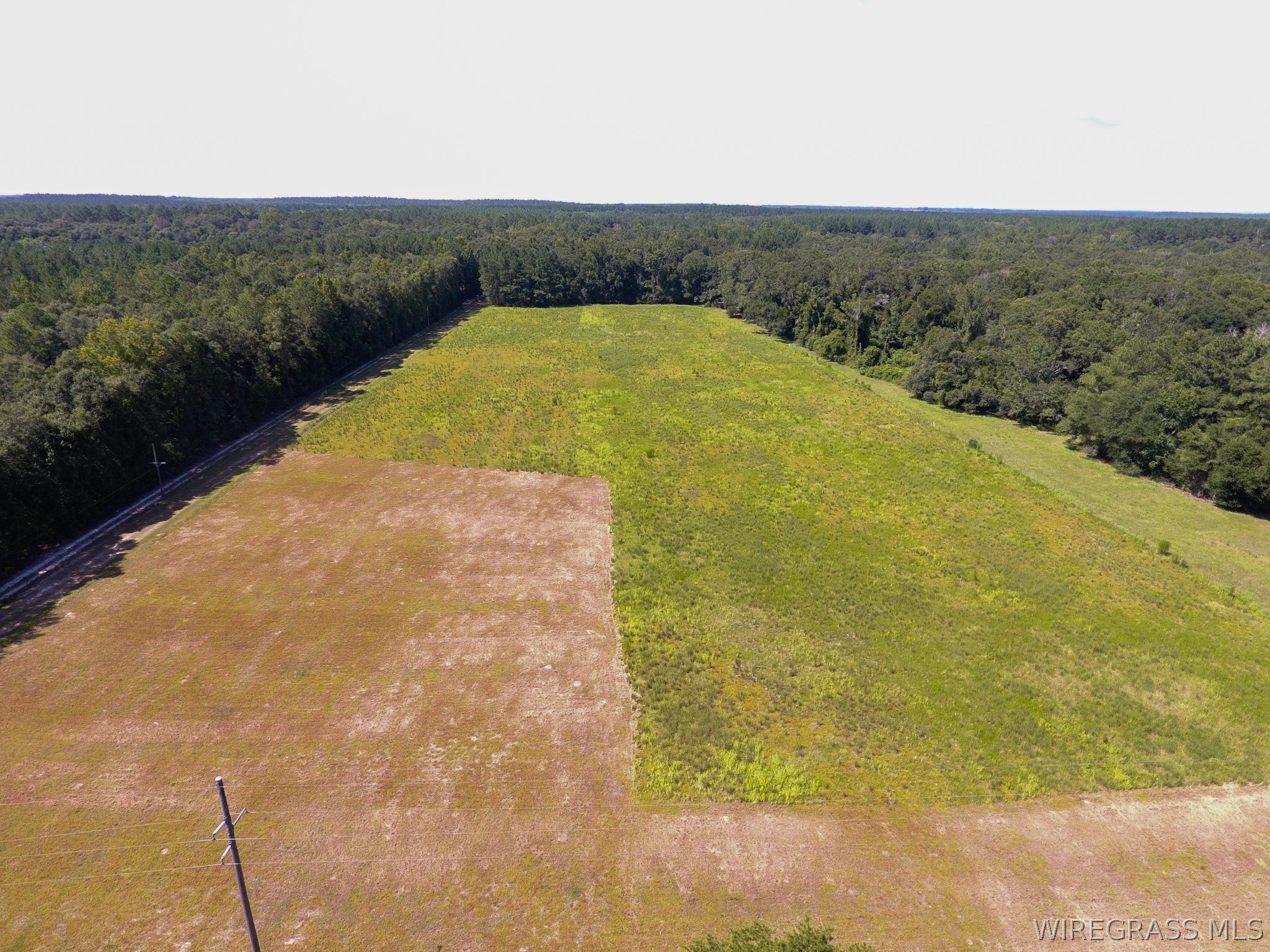3433 Iron Bridge Road Samson, AL 36477 - Photo 30 of 57 Gallery Image 30