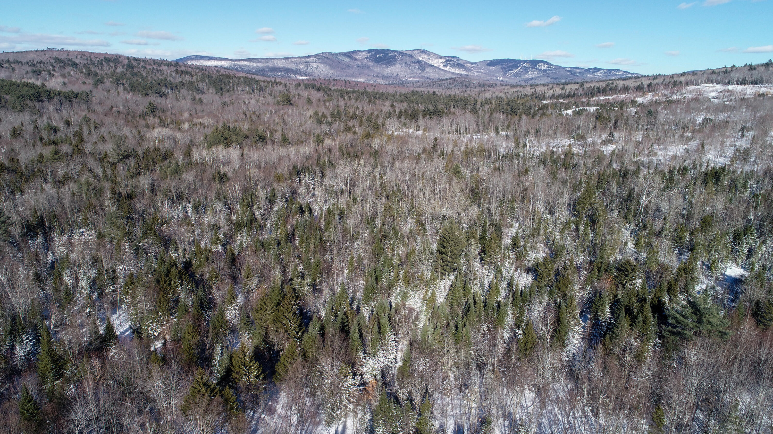 DJI_0232