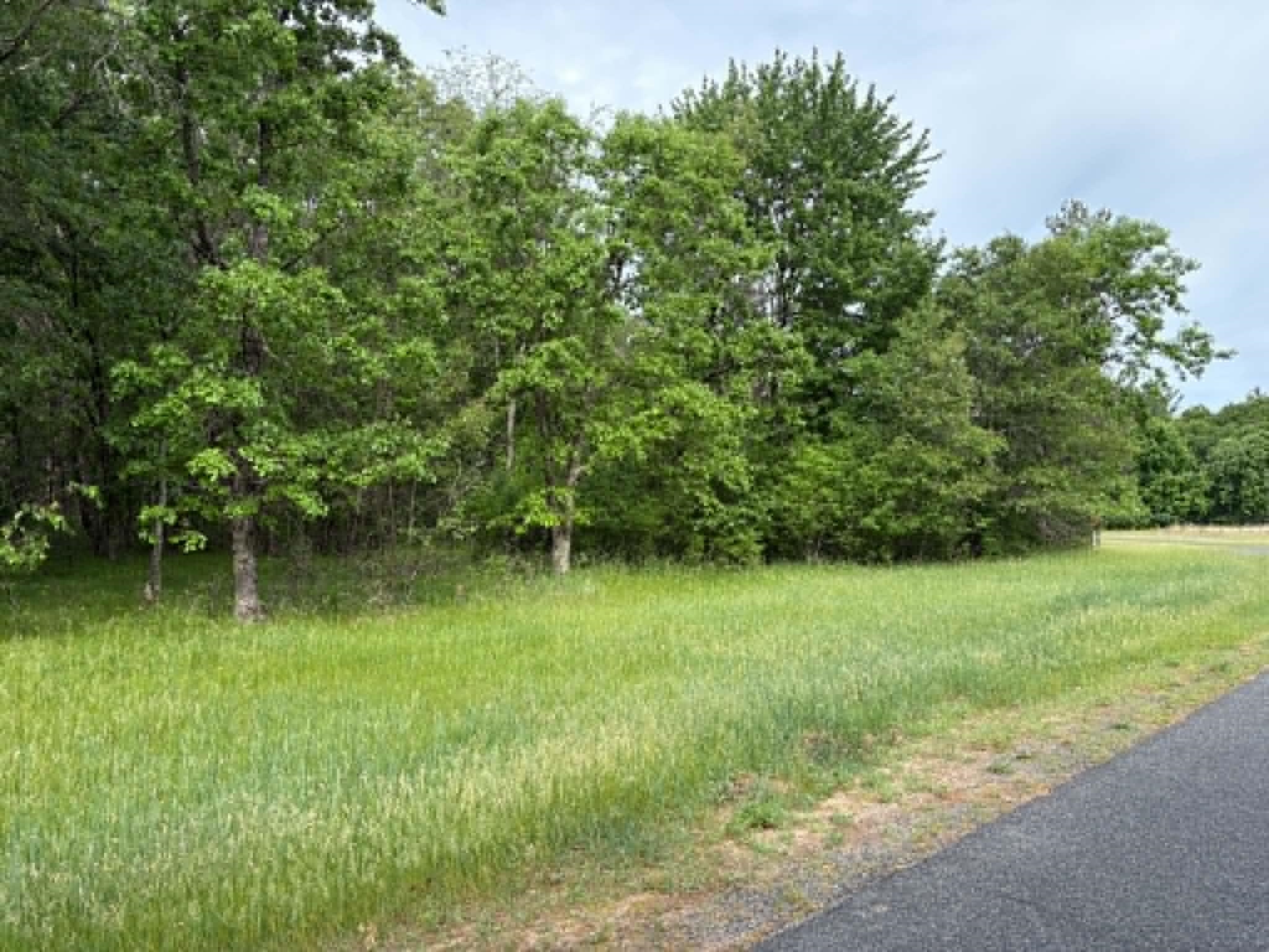 Lot 13 19th Friendship, WI 53934 - Photo 17 of 18