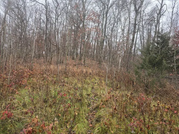 $119,999 | Xxxx Xxxx 244th Street, Shafer, MN 55074