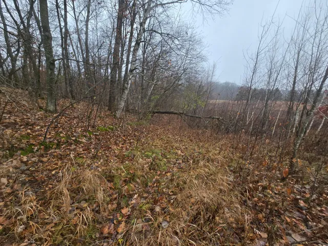 $119,999 | Xxxx Xxxx 244th Street, Shafer, MN 55074