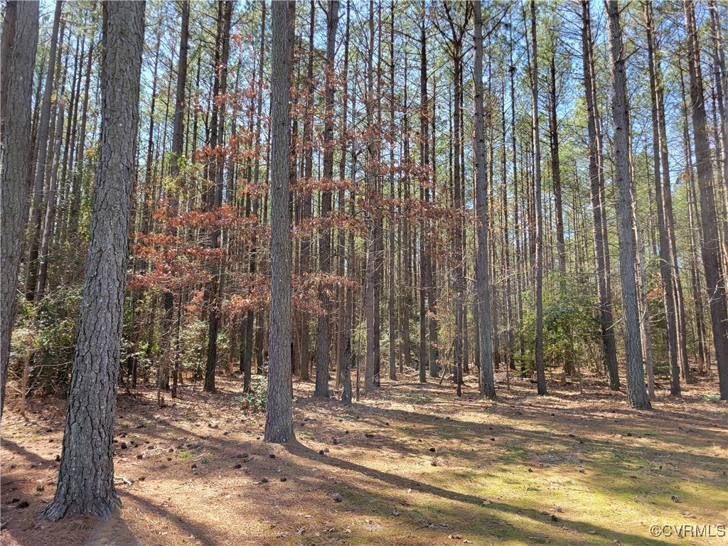 2683 Beulah Church Road St. Stephens Church, VA 23148 - Photo 23 of 23 View of nature