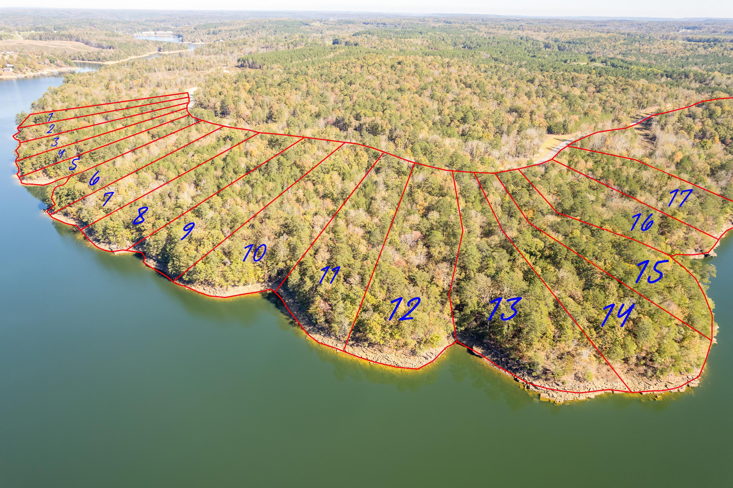 Lot 12 Ryan's View Cullman, AL 35057 - Photo 4 of 9 Aerial Lot Lines